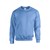 Carolina Blue